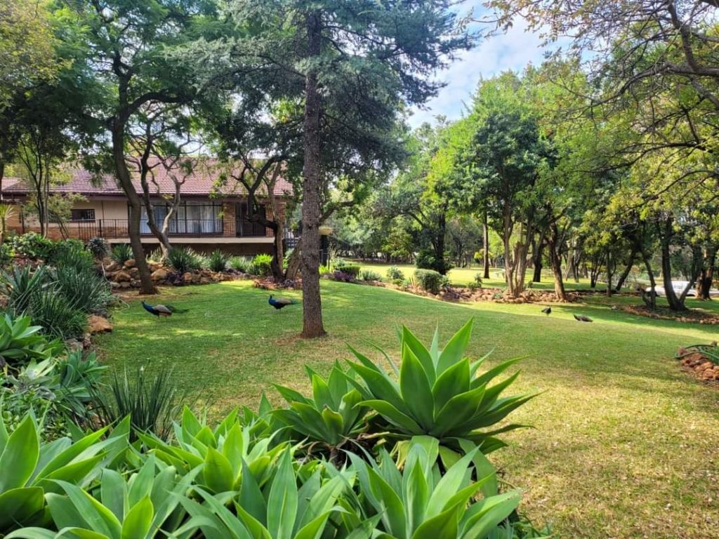 Hope Hill Centre Garden area Hope Hill Centre