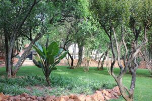 Hope Hill Centre Nature