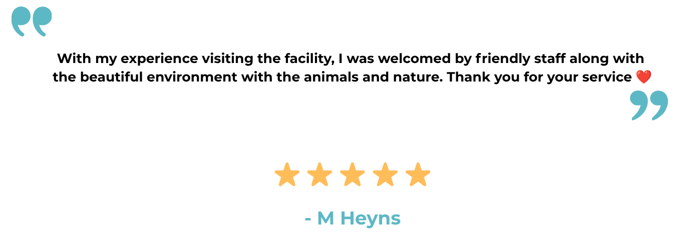 Testimonial - M Heyns